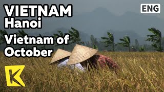 【K】Vietnam Travel-Hanoi[베트남 여행-하노이]10월의 베트남 풍경/Fall/Vietnam/October/Rice/Paddy