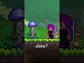 Terraria Items I Never Understood...