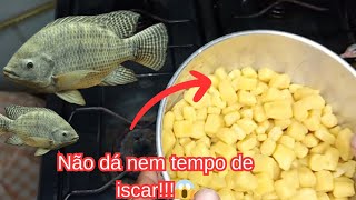 COM ESSA MASSA ,DA ATÉ DÓ DAS BOCUDAS😁!!!