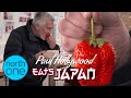 Paul Hollywood eats a £350 Strawberry! | Paul Hollwood Eats Japan