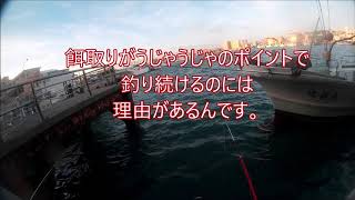 【沖縄釣り】　糸満漁港（忍耐のポイントだ！）