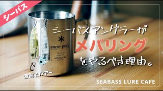 【シーバス】メバリングをすればシーバスも釣れるようになります！【メバル】【apia】