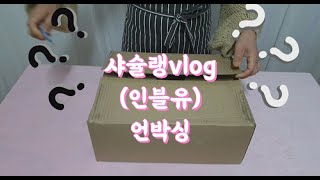 샤슐랭vlog ㅣ인블유 ㅣ 칼세트 언박싱