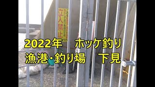 2022年　冬ホッケを求めて＃兜盃漁港＃鮭＃西積丹