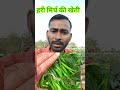 अप्रैल मई कौन सी सब्जी लगाए april may me konsi sabji lagaye