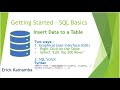 Microsoft SQL Database - Inserting New Records into the table