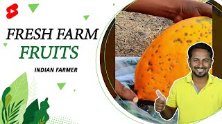 Fresh Farm Fruits🍃💦 | Indian Farmer #Shorts