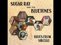 Sugar Ray @nd the Bluetones  ⭐ Blues From Sibculo ⭐I'm Holding On⭐.  ((*2025*))