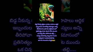 భక్తుల సమస్యలకు||బాబా పరిష్కారాలు#saibabasblessings #motivation#bhakti