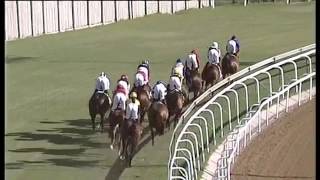 2017.06.03 Lonsdale Stirrup Cup (RSA) - Captain Splendid