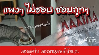 บ้านนี้ชอบ Maxima แพงๆเมินหน้าหนี #ไอ้ซิว #ลีอาห์ #ไอ้ฮิว