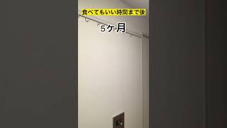 欲求を時間まで満たしていけない世界Part3