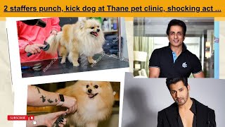 2 staffers punch, kick dog at Thane pet clinic, shocking act ...#news #viralnews #trending