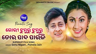 Gori Jhumuru Jhumuru Tora Pada Paunji -Romantic Film Song | Sonu Nigam,Pamela Jain |To Akhi Mo Aaina