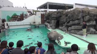 上越市立水族博物館