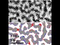 spontaneous fluctuations in a ferromagnetic film