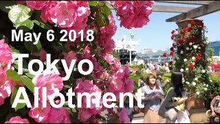 Tokyo Allotment - May 6 2018