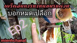 เผยเทคนิคการหาหนอนรถด่วนแบบหมดเปลือกby.mienh, channel,ep1