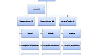 Software company | Wikipedia audio article
