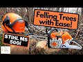 #47 Stihl MS 500i Review - Felling Trees