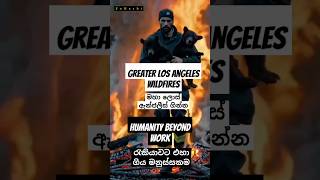 Greater Los Angeles wildfires|මහා ලොස් ඇන්ජලීස් ගින්නHumanity beyond work|රැකියාවට එහා ගිය මනුස්සකම