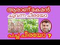 which spinach is good ,red or green/ പച്ചചീരയാണോ ചുവന്ന ചീരയാണോ കൂടുതൽ നല്ലത് .