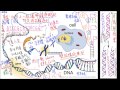 2 3觀念04基因、dna與染色體的關係