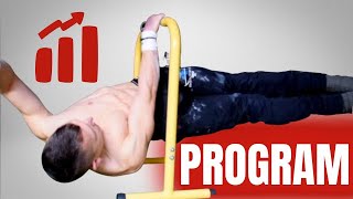 How To PROGRAM Your FRONT LEVER Training | Step By Step