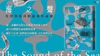 《海之聲》：第一本關於貝殼的故事｜作者說書