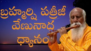 బ్రహ్మర్షి పత్రీ జీ సంగీత ధ్యానం 5am to 6am PCS Telugu