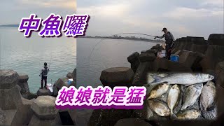 中魚瞬間爆衝嚇到寶寶了，近期臭度熱門騙幾隻嘗鮮  #磯釣#螺釣#黑鯛#浮標#金寶螺#海釣#釣魚#練餌#南極蝦#黑格#星點#娘娘#臭肚#紅槽#fishing#Black porgy#クロダイ