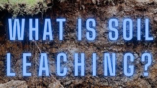 Soil Science: What Is Soil Leaching?