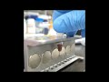 DNA Purification on Magnetic Beads | Salk Institute Research