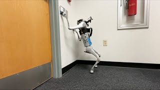 This Robotic Dog Use One of its ‘Paws’ to Open Doors