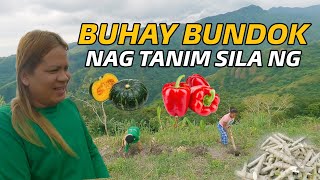 NAKAKATUWA MGA BUTO-BUTO SA GULAY AT PRUTAS ITINANIM NILA SA VIEW DECK