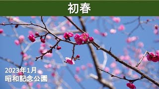 初春の彩り「昭和記念公園」2023