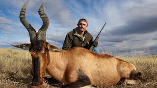 HUNTING RED HARTEBEEST, WATERBUCK, REEDBUCK IN SOUTH AFRICA