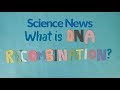 What is DNA recombination? | Science News