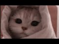 Thankyou Allah | nasheed | sped up