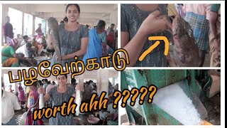 தமிழில்: Pazhaverkadu fish market | SD VLOGS