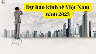 Dự báo kinh tế Việt Nam năm 2023 – Khủng hoảng kinh tế tài chính liệu có diễn ra ?