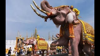 Elephants Kneel in Tribute to Thailand's Newly Crowned King Maha Vajiralongkorn