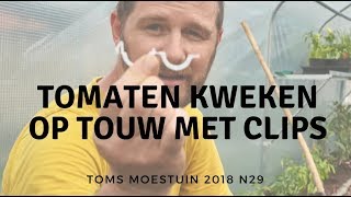 TM18#29 / Tomaten kweken op touw met tomaten clips