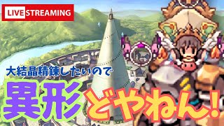 175が最大レベルくらいだった頃のエンドコンテンツを現代装備でわからせる【RO】ラグナロクオンライン