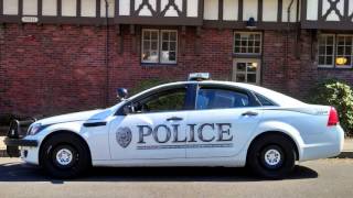 (Scanner Audio) Lynnwood Police Department Rape/Robbery at Alderwood Mall 11/30/2013