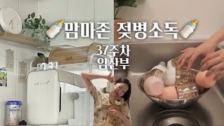 맘마존 젖병 열탕소독부터 건조까지!ㅣ젖병삶기ㅣ유팡 세척ㅣ릴리브 분유포트 세척ㅣ헤겐젖병 삶기ㅣ모윰젖병ㅣ젖병삶는법