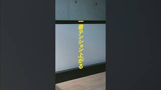 全員におすすめ！とは言えないけど、自分の夢が一つ叶いました、、、！■今回紹介した商品・VIVIDSTORM ホームシアター スクリーン 84インチ/ ¥119,000 #pr