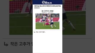 [토트넘vs입스위치] 이젠 승격팀한테도 대주네.. 1-2 패배 커뮤니티 반응 모음