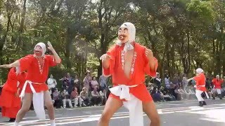 平成二十八年　春の神武祭パレード 2