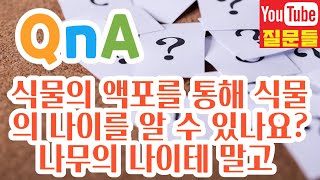 식물의 액포를 통해 식물의 나이를 알 수 있나요?나무의 나이테 말고 그냥 꽃이나 풀 같은 식물이요